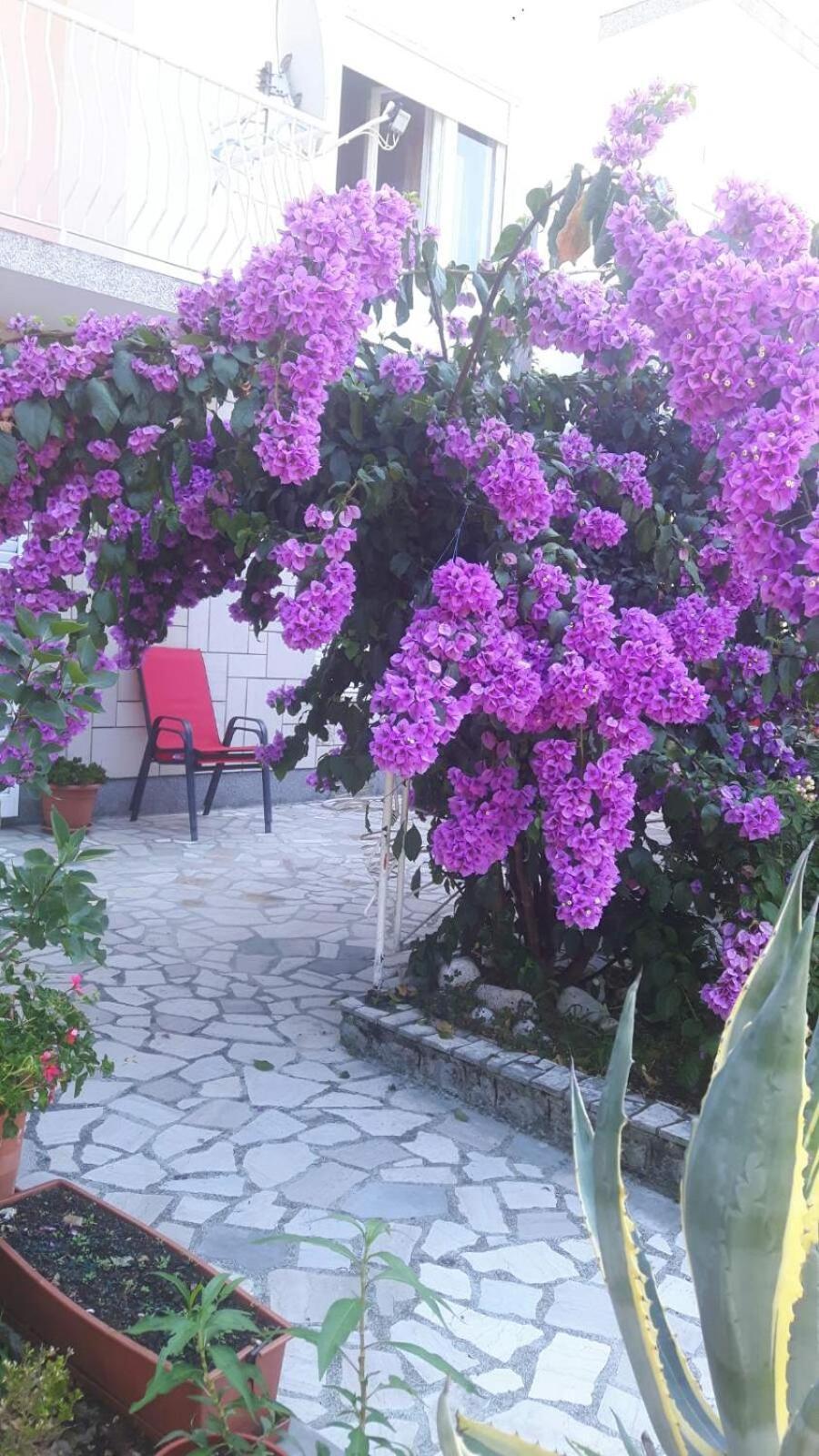 Apartments Pavelic Crikvenica Buitenkant foto